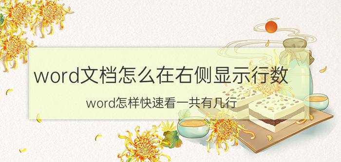 word文档怎么在右侧显示行数 word怎样快速看一共有几行？